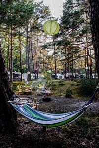 a hammock in the middle of a forest at Przyczepy Camping Kormoran - Hel - Półwysep Helski in Hel