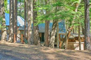 a log home in the woods with trees at Peaceful Little Doll House Cabin with Grill! in Mi-Wuk Village