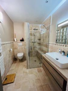 een badkamer met een douche, een wastafel en een toilet bij Grand'Rue Malaucène in Malaucène