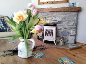 Fotografie z fotogalerie ubytování Hollow cottage v destinaci Doolin