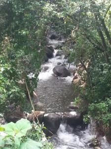 een stroom water met rotsen in een bos bij Coffee Garden Ranch Costa Rica in Concepción