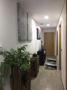 a hallway with a living room with a couch and plants at CasaMesquita in Cabeceiras de Basto