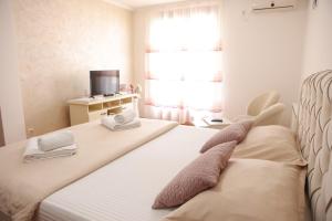 TV a/nebo společenská místnost v ubytování Apartman Pegasus