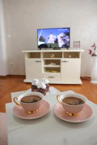 TV a/nebo společenská místnost v ubytování Apartman Pegasus