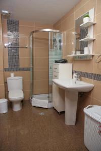 Koupelna v ubytování Apartman Pegasus