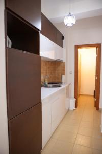 Kuchyň nebo kuchyňský kout v ubytování Apartman Pegasus