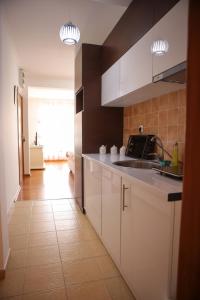Kuchyň nebo kuchyňský kout v ubytování Apartman Pegasus