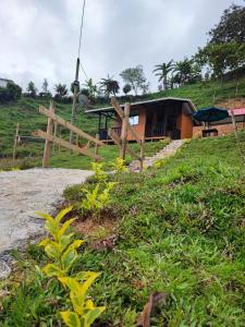 聖拉斐爾的住宿－Cabaña Glamping Los Canarios San Rafael, Antioquia，山丘上带栅栏和草地的房子