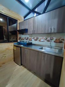 eine Küche mit einer Spüle und einer Arbeitsplatte in der Unterkunft Cabaña Glamping Los Canarios San Rafael, Antioquia in San Rafael