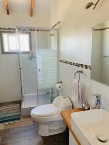 y baño con aseo, ducha y lavamanos. en Hostal Uruz, en Coyhaique