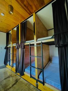 a bedroom with two bunk beds in a room at MOMO Hostel in Moalboal