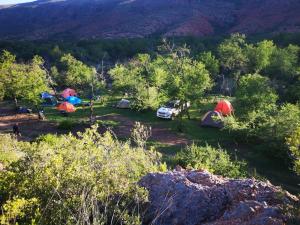 a group of tents in a field with trees at Baviaanskloof Laaste Kamp - Wild Bush Camping in Sandvlakte