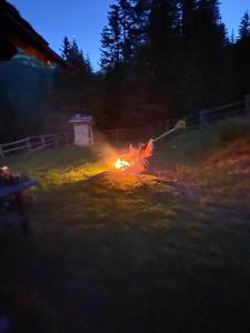 Gallery image of Almhütte Prem 1 in Ramingstein