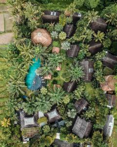 een luchtzicht op een resort met een zwembad bij Blue Karma Dijiwa Ubud in Ubud