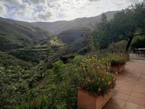 a view of a valley with flowers in pots at Cortijo Vacas Gordas Villas in Castell de Ferro