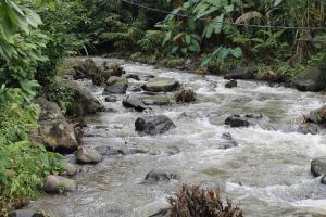 Billede fra billedgalleriet på Raj Estate Stay i Madikeri + 11 billeder