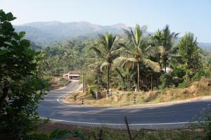 an empty road with palm trees on the side of a mountain at Raj Estate Stay in Madikeri