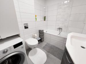 W łazience znajduje się toaleta, umywalka i pralka. w obiekcie Juhar Apartman w mieście Kőszeg +24 zdjęcia