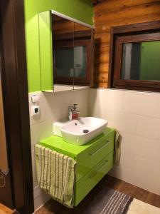 uma casa de banho verde com um lavatório e um espelho em Ferienhaus Parschlug 
