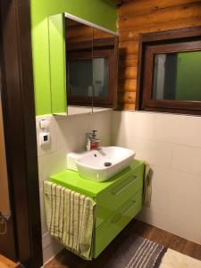 a green bathroom with a sink and a mirror at Ferienhaus Parschlug 