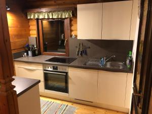 eine Küche mit Spüle und Herd in der Unterkunft Ferienhaus Parschlug in Parschlug