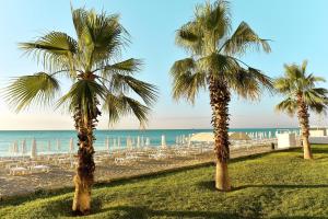 金沙的住宿－Sentido Marea Hotel - 24 hours Ultra All inclusive & Private Beach，海滩上的两棵棕榈树,带椅子,大海