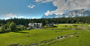 a green field with houses and cows in a field with mountains at Alpengasthof Fichtenheim in Ramsau am Dachstein