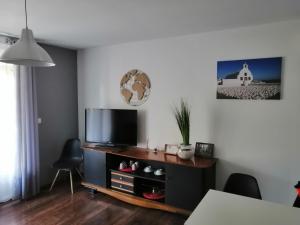 una sala de estar con TV de pantalla plana en un armario en La maison de 6Fran appartement 1 calme et spacieux ambiance familiale, en Valros