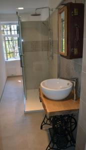 uma casa de banho com uma cabina de duche em vidro e um lavatório. em Villa Iolanda em Merano