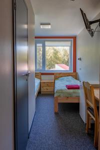 um pequeno quarto com uma cama e uma janela em Kuremaa Külalistemaja em Kuremaa