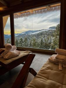a room with a large window with a mountain view at Apartmaji Smogavc in Zreče