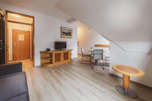 TV a/nebo společenská místnost v ubytování Vitranc Apartments