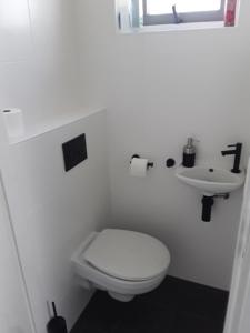 a white bathroom with a toilet and a sink at 55 Bytling in Terherne +10 photos