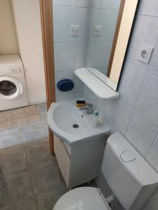 bagno con lavandino, servizi igienici e specchio di Matija i Bartol a Pirovac (Slosella)