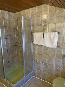 a shower with a glass door in a bathroom at Ferienwohnung Agnes Mayer in Riedenburg