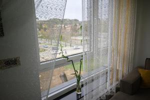 Balkon ili terasa u objektu Muki Park Lake