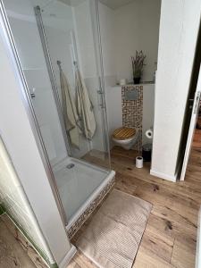 uma casa de banho com um chuveiro e um WC. em Apartment 001 am Hirtenweg em Kassel