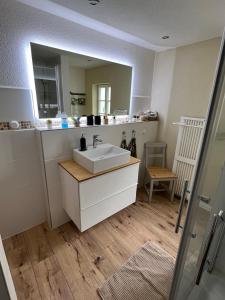 uma casa de banho com um lavatório e um espelho em Apartment 001 am Hirtenweg em Kassel