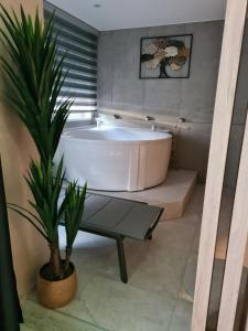 a bath tub in a bathroom with a potted plant at Wellness Apartments in Varaždin