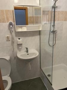 een badkamer met een douche, een wastafel en een toilet bij Zrcadlová Koza in Turnov