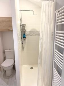 ein Bad mit einem WC und einer Dusche mit einem Duschvorhang in der Unterkunft Appartement de 2 chambres a Manigod a 100 m des pistes avec piscine partagee et wifi in Manigod