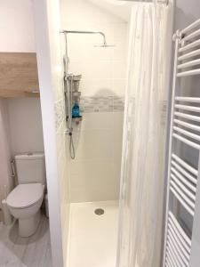 e bagno con servizi igienici e doccia con tenda. di Appartement cosy à Manigod avec piscine partagée – 50 m² a Manigod