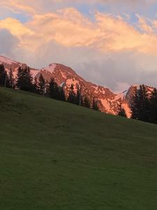 una collina erbosa con una montagna sullo sfondo di Appartement cosy à Manigod avec piscine partagée – 50 m² a Manigod Altre 4 foto