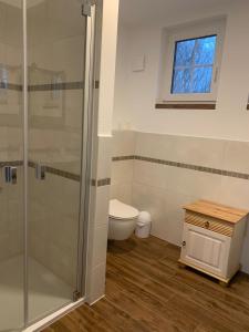 a bathroom with a toilet and a glass shower at Glückshaus Peter in Dreschvitz