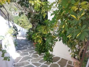 a stone walkway with trees and plants on it at Adam's House in Achladies