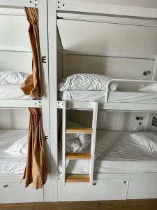 two bunk beds in a dorm room with a shelf at Georges Hostel & Café in Sète