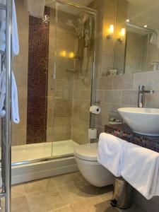 a bathroom with a shower and a toilet and a sink at Ramsey House - Luxury Licensed B&B - Parking and Guest Lounge in St. Davids +37 photos