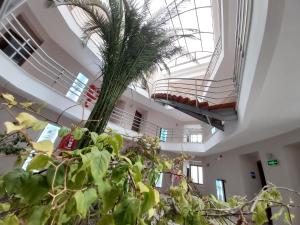 Fotografie z fotogalerie ubytování Pam Thermal Hotel Clinic & Spa v destinaci Pamukkale