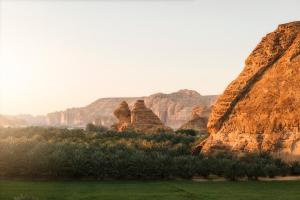 a view of a canyon with rocks and plants at Caravan by Habitas AlUla in Al-ʿUla