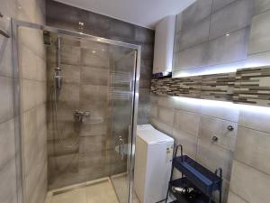 un bagno con doccia in vetro con porta posteriore di K2012 Kalina Grand-Tourist Apartments a Danzica